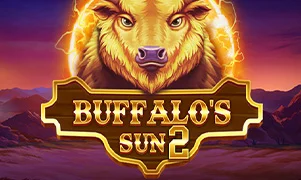 Buffalos Sun 2