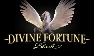 Divine Fortune